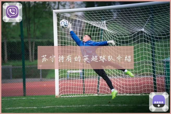 苏宁持有的英超球队介绍