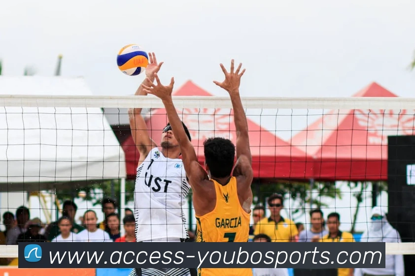 多媒体互动体验